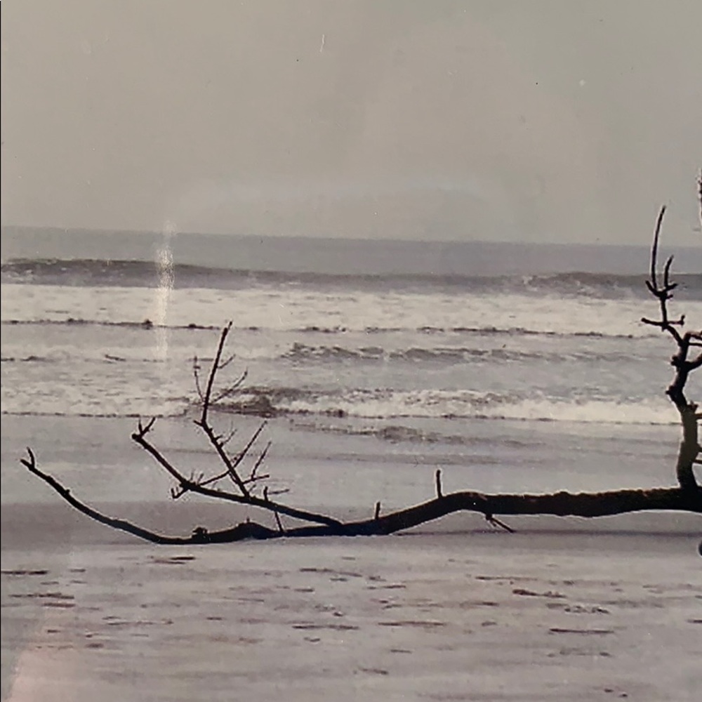 Meet your Posher, Nnella